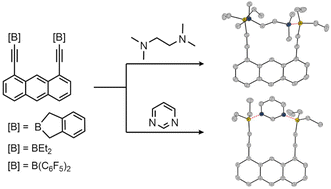 Graphical abstract: Bidentate boron Lewis acids: synthesis by tin boron exchange reaction and host–guest complex formation