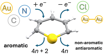 Graphical abstract: The aromatic nature of auracycles and diauracycles based on calculated ring-current strengths