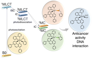 Graphical abstract: A detailed density functional theory exploration of the photodissociation mechanism of ruthenium complexes for photoactivated chemotherapy