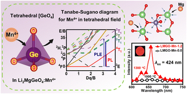 Graphical abstract: Unveiling the luminescence property of Li2MgGeO4:Mn4+ featuring the tetrahedral crystallographic-site occupancy of Mn4+