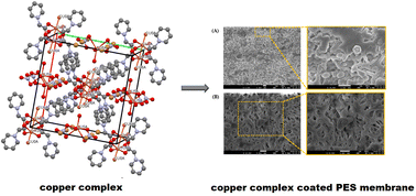 Graphical abstract: Synthesis and characterization of a novel copper carboxylate complex and a copper complex-coated polyether sulfone membrane for efficient degradation of methylene blue dye under UV irradiation: the single crystal X-ray structure of the copper carboxylate complex