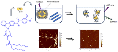 Graphical abstract: Detection and disaggregation of amyloid fibrils by luminescent amphiphilic platinum(ii) complexes