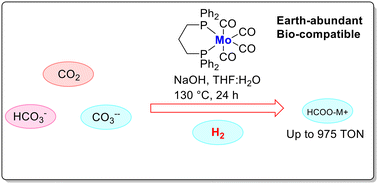 Graphical abstract: Molybdenum-catalyzed hydrogenation of carbon dioxide, bicarbonate, and inorganic carbonates to formates