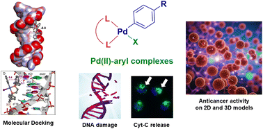 Graphical abstract: Unveiling the promising anticancer activity of palladium(ii)–aryl complexes bearing diphosphine ligands: a structure–activity relationship analysis