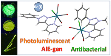 Graphical abstract: 1,2,3-Triazol-5-ylidene- vs. 1,2,3-triazole-based tricarbonylrhenium(i) complexes: influence of a mesoionic carbene ligand on the electronic and biological properties