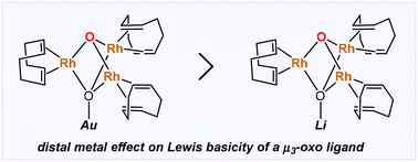 Graphical abstract: Effect of distal metal species on lewis basicity of a μ3-oxo ligand in a doubly oxo-bridged (μ3-O)[Rh(cod)]3(μ4-O)M core