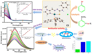 Graphical abstract: Fabrication of thiosemicarbazone-based Pd(ii) complexes: structural elucidations, catalytic activity towards Suzuki–Miyaura coupling reaction and antitumor activity against TNBC cells