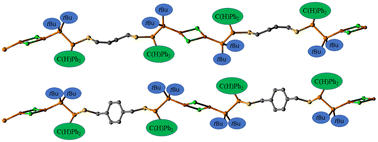 Graphical abstract: From phosphanylphosphaalkenes to coordination copper and silver polymers containing P–P bonds