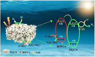 Graphical abstract: Enhanced performance of a Na3.5Co4[Bi2Co2W19.75O70(H2O)6]/porous graphitic carbon nitride heterojunction based photocatalyst realized by the addition of copper sulfide nanoparticles