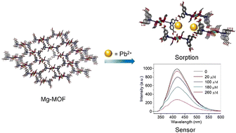 Graphical abstract: A magnesium phosphonate metal–organic framework showing excellent performance for lead(ii) sensing and removal from aqueous solutions