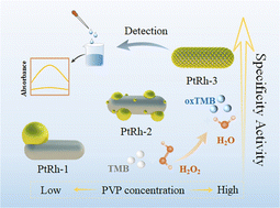 Graphical abstract: Structural engineering of Pt-on-Rh hollow nanorods with high-performance peroxidase-like specific activity for colorimetric detection