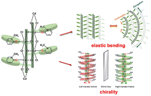 Graphical abstract: An elastic single crystal composed of one-dimensional chiral coordination polymers