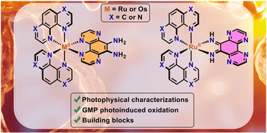 Graphical abstract: Synthesis of Ru(ii) and Os(ii) photosensitizers bearing one 9,10-diamino-1,4,5,8-tetraazaphenanthrene scaffold