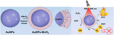 Graphical abstract: Three-dimensional Au–MnO2 nanostructure as an agent of synergistic cancer therapy: chemo-/photodynamic and photothermal approaches