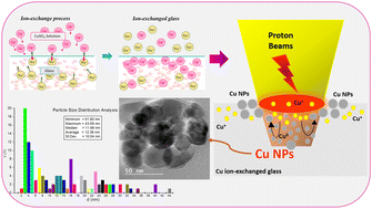 Graphical abstract: Copper nanoparticle and point defect formation in Cu+–Na+ ion-exchanged glass using protons of 2 MeV energy