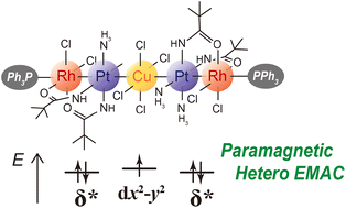 Graphical abstract: Structure and redox behaviour of a paramagnetic Rh–Pt–Cu–Pt–Rh heterometallic-extended metal-atom chain