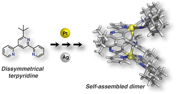 Graphical abstract: Cyclometalated luminescent platinum(ii) complexes of dissymmetrical 2,2′:4′,2′′-terpyridine and its self-assembled dimer presenting Pt–Ag dative bonds