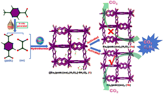 Graphical abstract: In situ generated 2,5-pyrazinedicarboxylate and oxalate ligands leading to a Eu-MOF for selective capture of C2H2 from C2H2/CO2