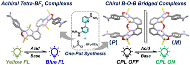 Graphical abstract: Simultaneous discovery of chiral and achiral dyes: elucidating the optical functions of helical and flag-hinged boron tetradentate complexes