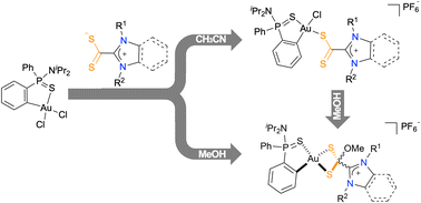 Graphical abstract: Coordination of azol(in)ium dithiocarboxylate ligands to Au(iii): unexpected formation of a novel family of cyclometallated Au(iii) complexes, DFT calculations and catalytic studies