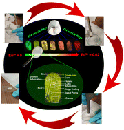 Graphical abstract: High-contrast multi-surface imaging of latent fingerprints using color-tunable YOF:Tb3+,Eu3+ ultrafine nanophosphors with high quantum yield