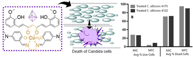 Graphical abstract: Heteroleptic cobalt complex augments antifungal activity with fluconazole and causes membrane disruption in Candida albicans