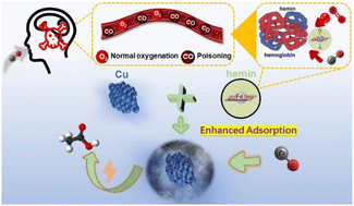 Graphical abstract: Bioinspired molecule-functionalized Cu with high CO adsorption for efficient CO electroreduction to acetate