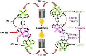 Graphical abstract: Synthesis and studies of covalently linked (BODIPY)2-3-pyrrolyl BODIPY triads