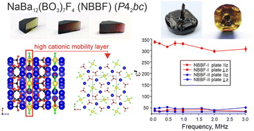 Graphical abstract: NaBa12(BO3)7F4 (NBBF) dichroic crystals: optical properties and dielectric permittivity