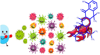 Graphical abstract: Tetracycline: structural characterization and antimicrobial properties of its water-soluble di-anionic bi-sodium salt