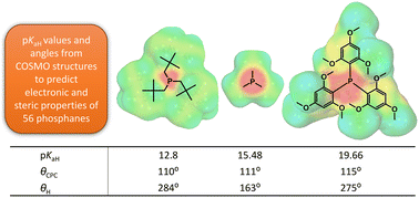 Graphical abstract: pKaH values and θH angles of phosphanes to predict their electronic and steric parameters