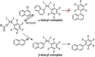 Graphical abstract: Mechanistic study on the reductive elimination of (aryl)(fluoroaryl)palladium complexes: a key step in regiospecific dehydrogenative cross-coupling