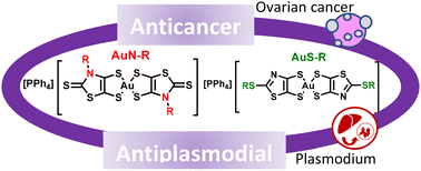 Graphical abstract: Structure–activity relationship of anticancer and antiplasmodial gold bis(dithiolene) complexes