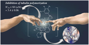 Graphical abstract: Are the metal identity and stoichiometry of metal complexes important for colchicine site binding and inhibition of tubulin polymerization?