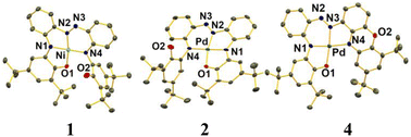 Graphical abstract: Ni(ii) and Pd(ii) complexes of a new redox-active pentadentate azo-appended 2-aminophenol ligand: Pd(ii)-assisted intraligand cyclization forms a phenoxazinyl ring