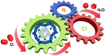 Graphical abstract: Boosting the oxygen reduction activity of non-metallic catalysts via geometric and electronic engineering through nitrogen and chlorine dual-doping