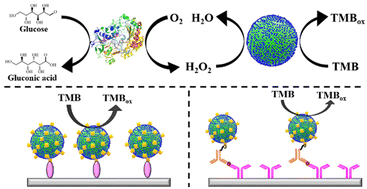 Graphical abstract: Mesoporous silica-supported platinum nanocatalysts for colorimetric detection of glucose, cholesterol, and C-reactive protein