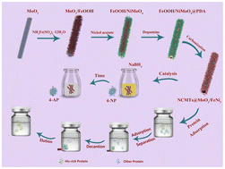 Graphical abstract: Construction of hierarchical NCMTs@MoO2/FeNi3 tubular heterostructures for enhanced performance in catalysis and protein adsorption