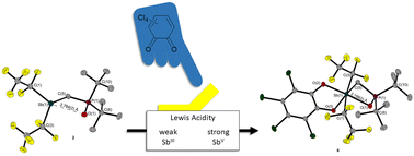 Graphical abstract: Oxidation-dependent Lewis acidity in chalcogen adducts of Sb/P frustrated Lewis pairs