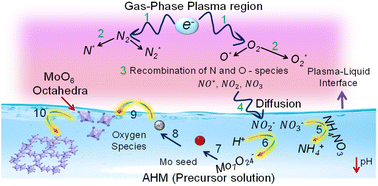 Graphical abstract: Harnessing plasma-generated reactive species for the synthesis of different phases of molybdenum oxide to study adsorption and photocatalytic activity