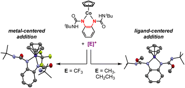 Graphical abstract: Metal- versus ligand-centered reactivity of a cobalt-phenylenediamide complex with electrophiles