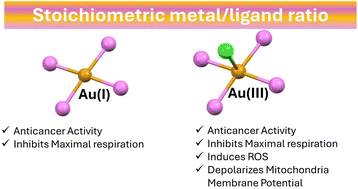 Graphical abstract: Stoichiometry effect on the structure, coordination and anticancer activity of gold(i/iii) bisphosphine complexes