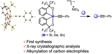 Graphical abstract: Synthesis, structure, and alkynylation reactivity of alkynyl-silicate, -germanate, and -stannate