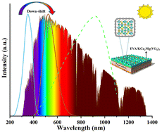 Graphical abstract: Enhanced photovoltaic performance of silicon solar cells using a down-shift KCa2Mg2(VO4)3 phosphor