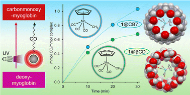 Graphical abstract: β-Cyclodextrin and cucurbit[7]uril as protective encapsulation agents of the CO-releasing molecule [CpMo(CO)3Me]