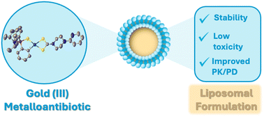 Graphical abstract: Liposomal formulation of a gold(iii) metalloantibiotic: a promising strategy against antimicrobial resistance