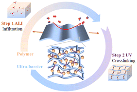 Graphical abstract: Two-step construction of KPDMS/Al2O3 ultra-barriers for wearable sensors