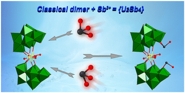 Graphical abstract: A uranium-bridged dimeric Keggin-type polyoxometalate and its proton conductive properties