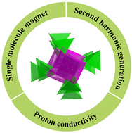Graphical abstract: Multifunctional chiral metal hydrogen-bonded organic frameworks constructed from lanthanide ions with a trigonal prismatic coordination environment