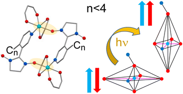 Graphical abstract: Light-induced spin-state switching in heterospin complexes of Cu(hfac)2 with pyridine-based nitroxides